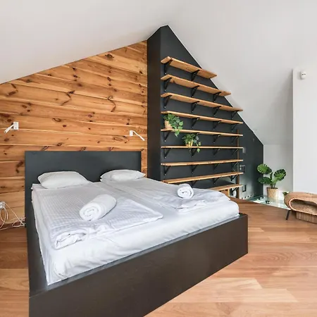 Kamienica Sopocka By Northside *